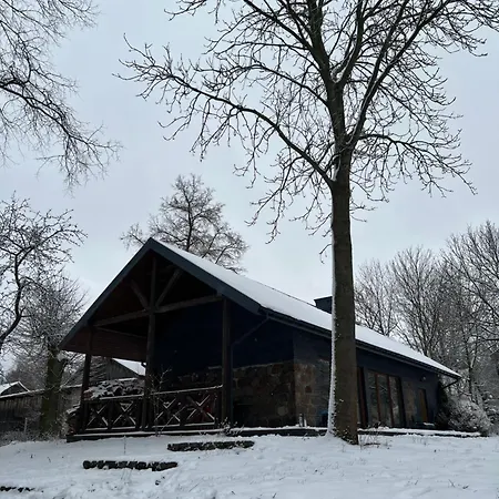 W Wisniewie *